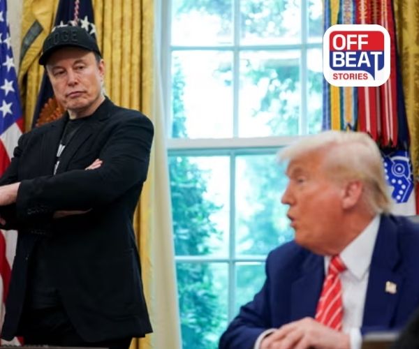 '...વિનાશક નિર્ણય'